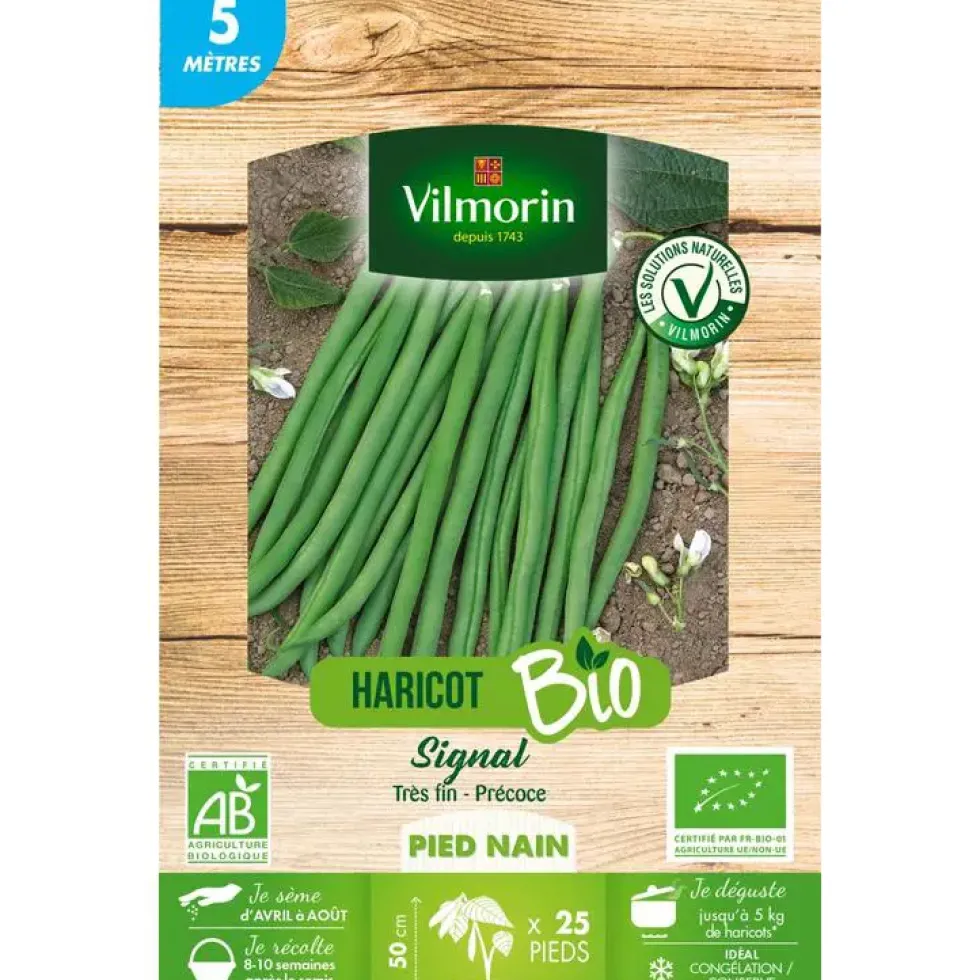 Graines de haricot nain bio Vilmorin - graines à semer