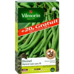 Graines de haricot nain divinel Vilmorin - graines à semer