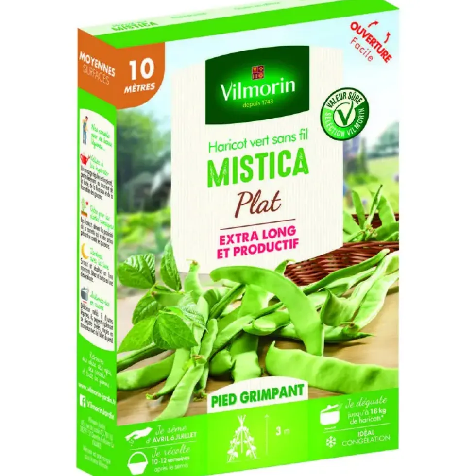 Graines de haricot nain mistica Vilmorin - graines à semer