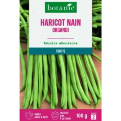 Graines de haricot nain organdi extra-fin sans fil botanic® - graines à semer 100 g