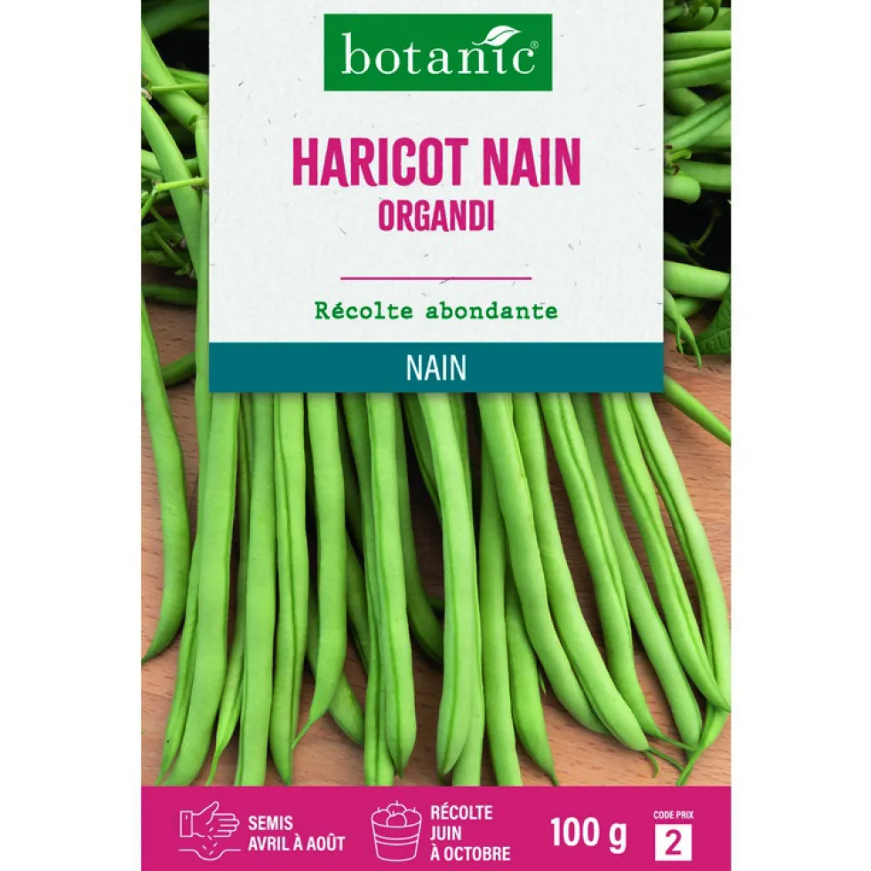 Graines de haricot nain organdi extra-fin sans fil botanic® - graines à semer 100 g