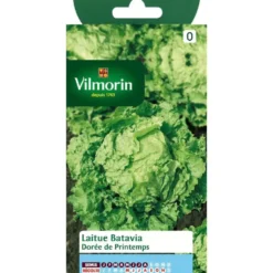 Graines de laitue batavia à dorée printemps Vilmorin - graines à semer