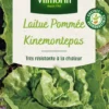 Graines de laitue pommée kinemontepas coloris vert Vilmorin jardin - graines à semer