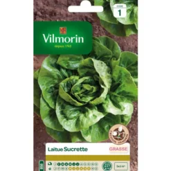 Graines de laitue sucrette Vilmorin - graines à semer