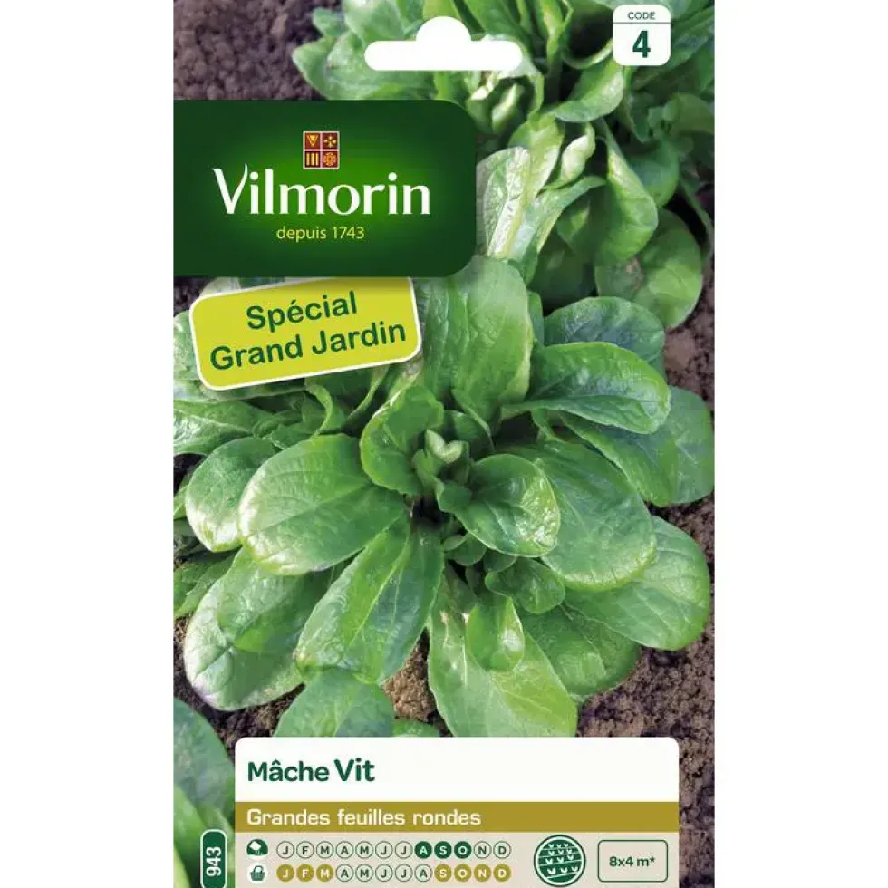 Graines de mâche vit Vilmorin - graines à semer