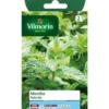 Graines de menthe poivrée Vilmorin - graines à semer
