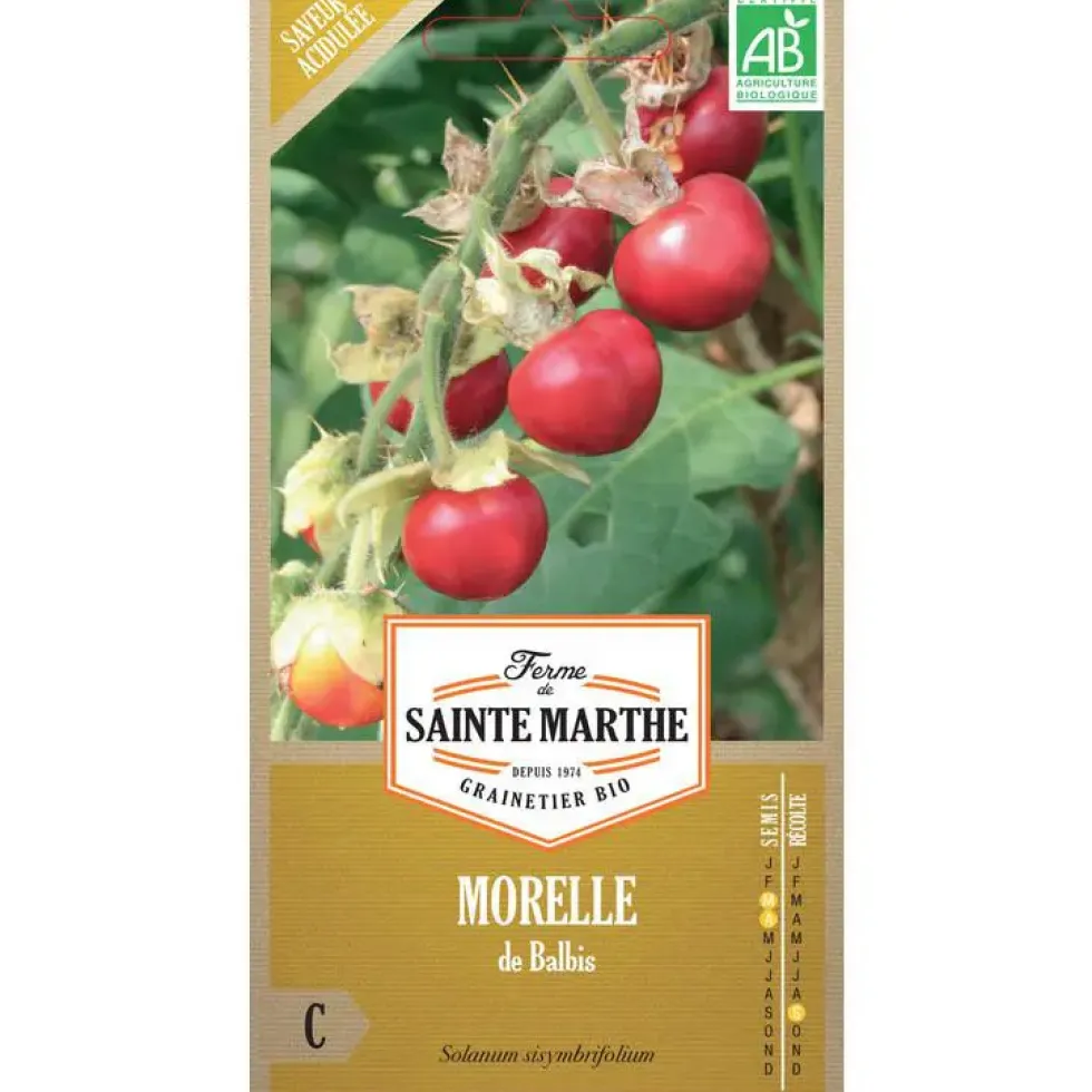 Graines de Morelle de Balbis bio Ferme de Sainte Marthe - graines à semer