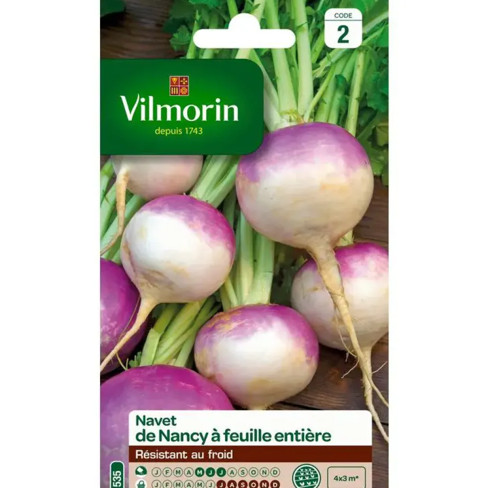 Graines de navet de Nancy Vilmorin - graines à semer