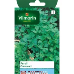 Graines de persil commun Vilmorin - graines à semer