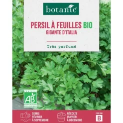 Graines de persil géant d'Italie bio botanic® - graines à semer
