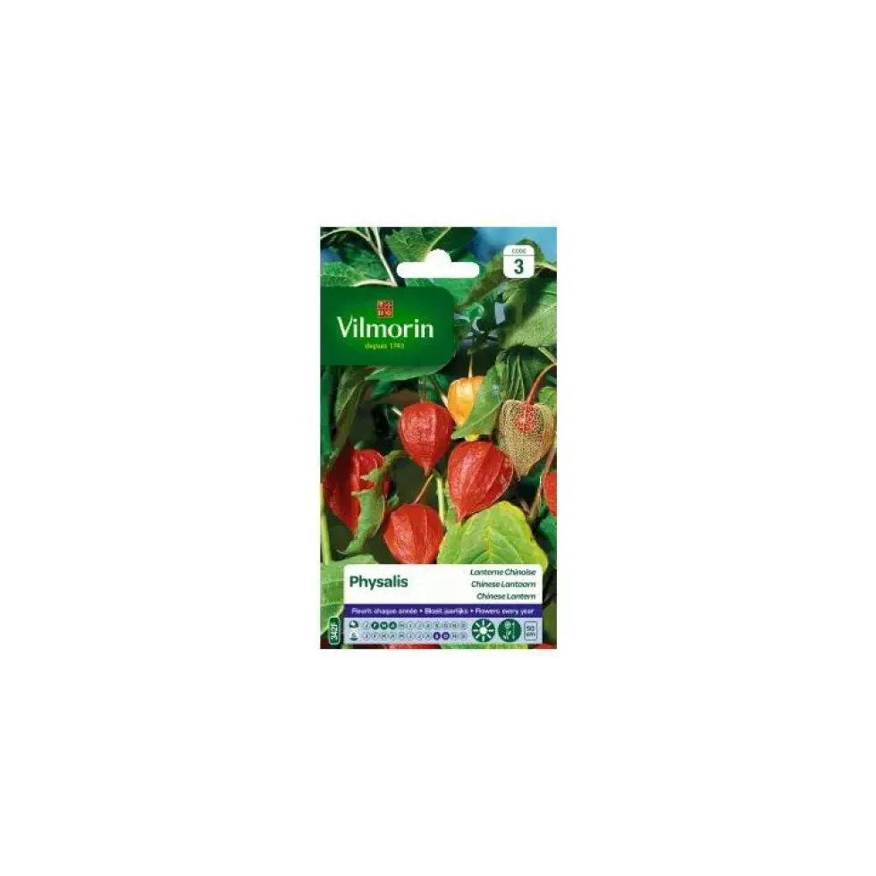 Graines de Physalis Lanterne chinoise Vilmorin - graines à semer