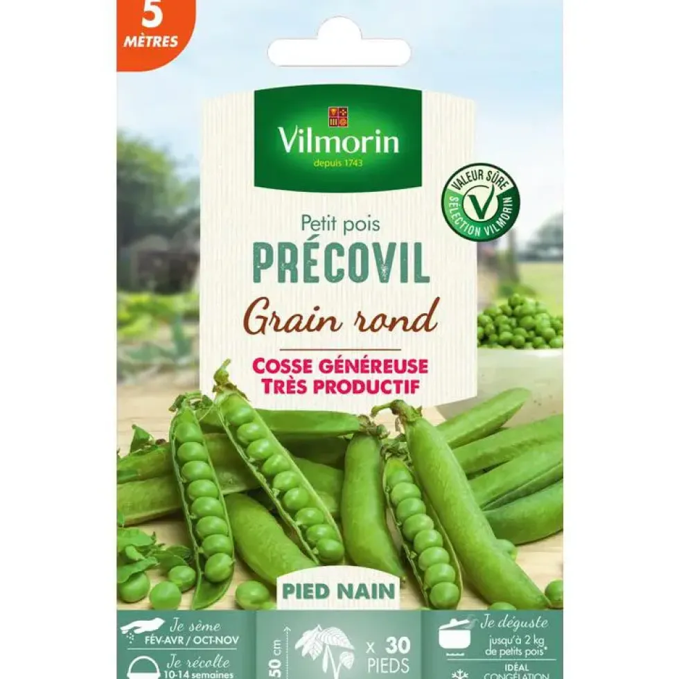 Graines de pois nain Precovil Vilmorin 5 mètres - graines à semer
