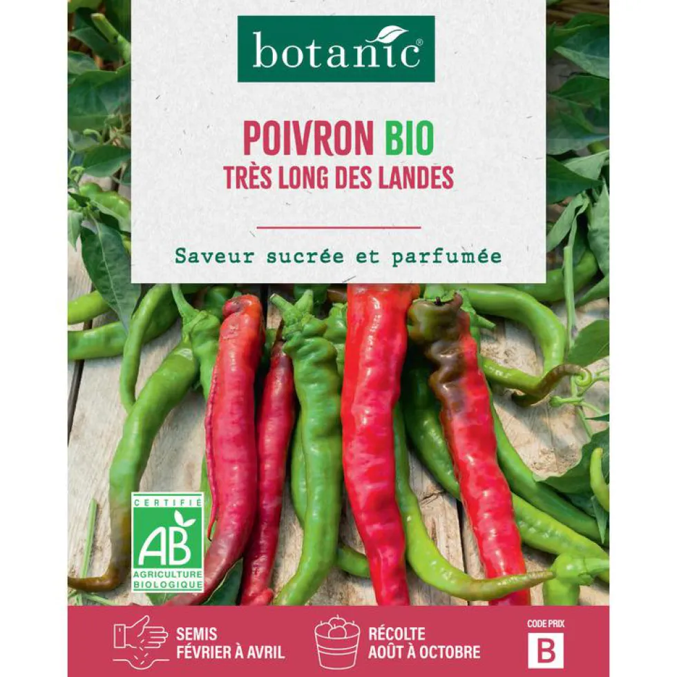 Graines de Poivron doux très long des Landes botanic® - graines à semer