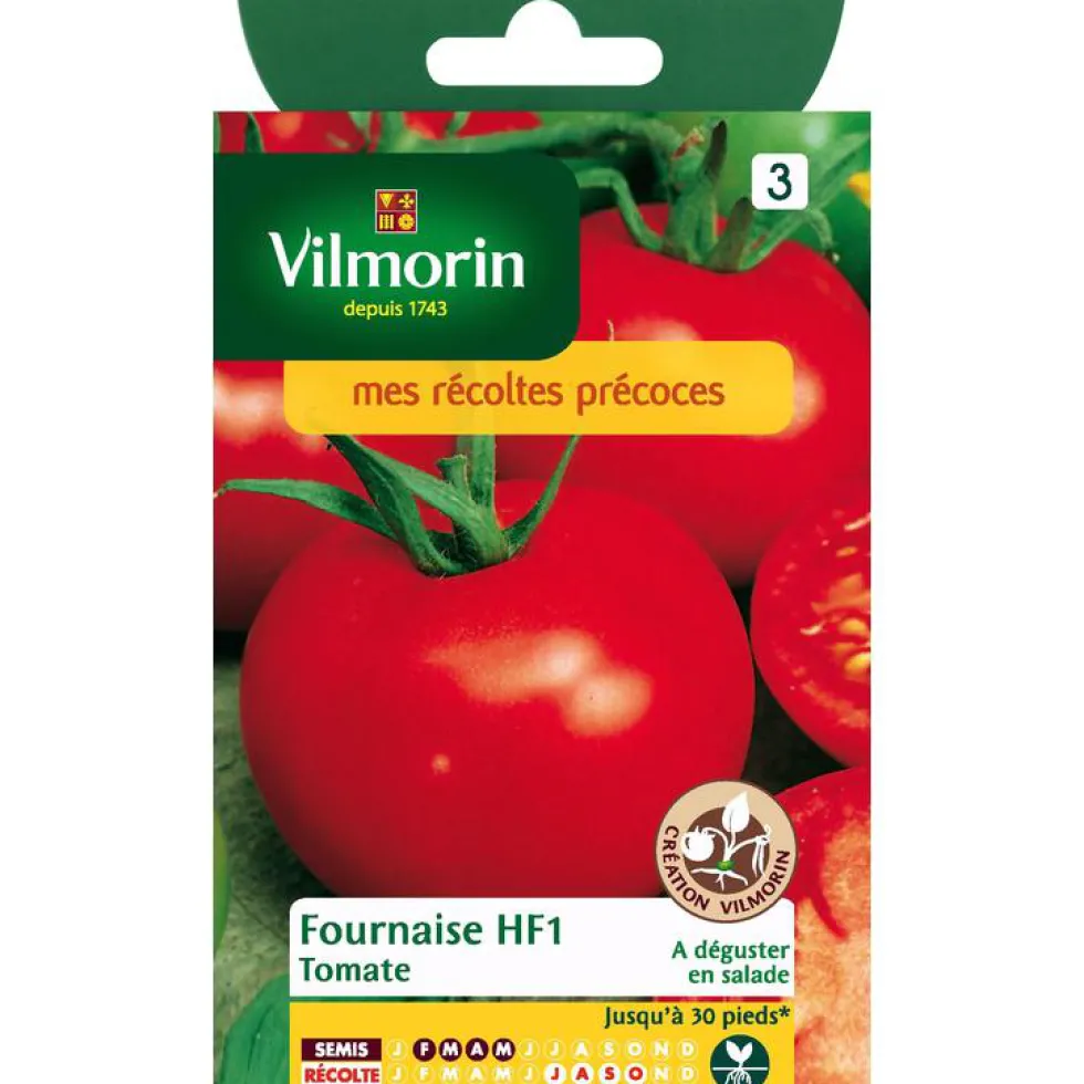 Graines de tomate fournaise HF1 Vilmorin - graines à semer