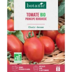 Graines de tomate principe borghese bio botanic® - graines à semer