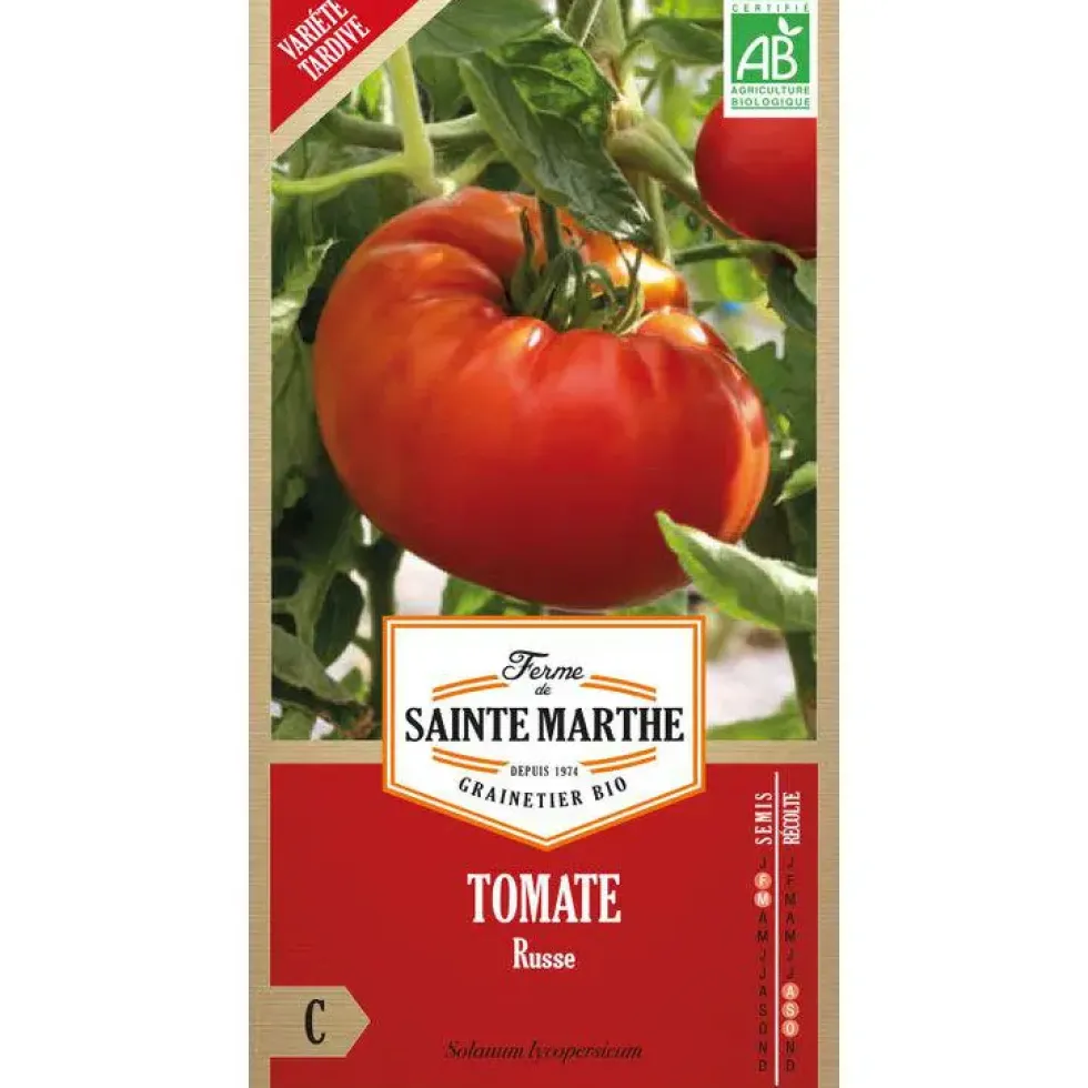 Graines de tomate russe bio Ferme de Sainte Marthe - graines à semer