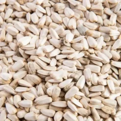 Graines de tournesol blanc 2,5 kg