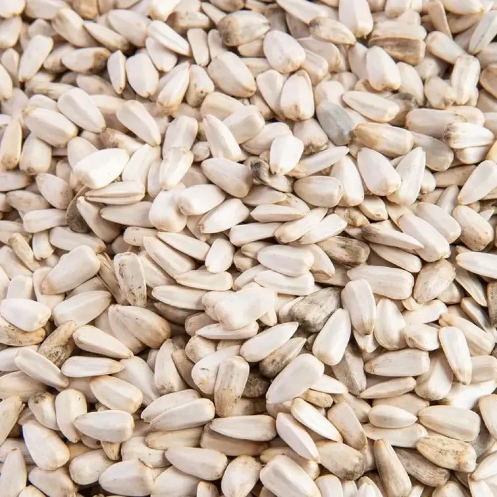 Graines de tournesol blanc 2,5 kg