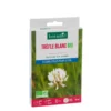 Graines de Trèfle blanc bio botanic® - graines à semer (10 m²)