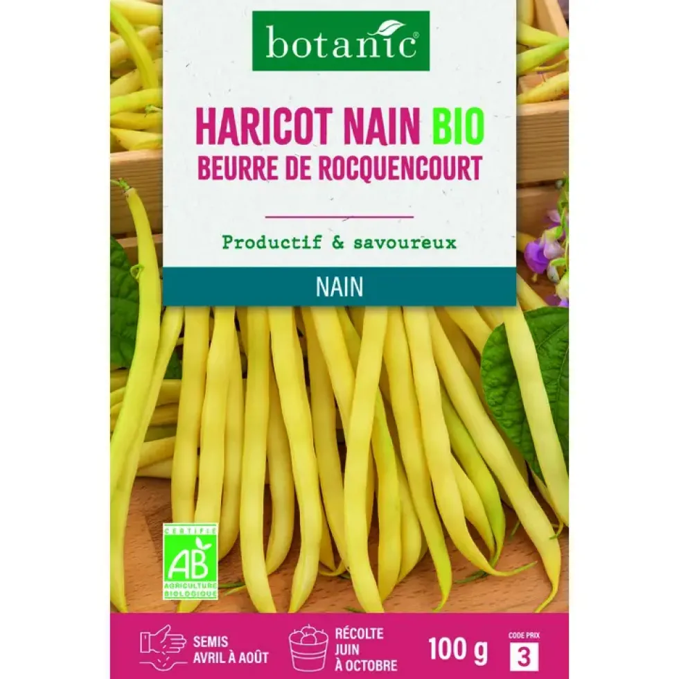 Graines d'haricot nain beurre de rocquencourt bio botanic® - graines à semer 100 g