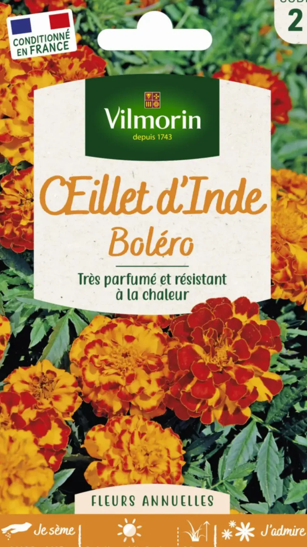 Graines d’œillet d’Inde Bolero Vilmorin - graines à semer
