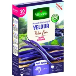 Graines à haricot nain velour Vilmorin - graines à semer