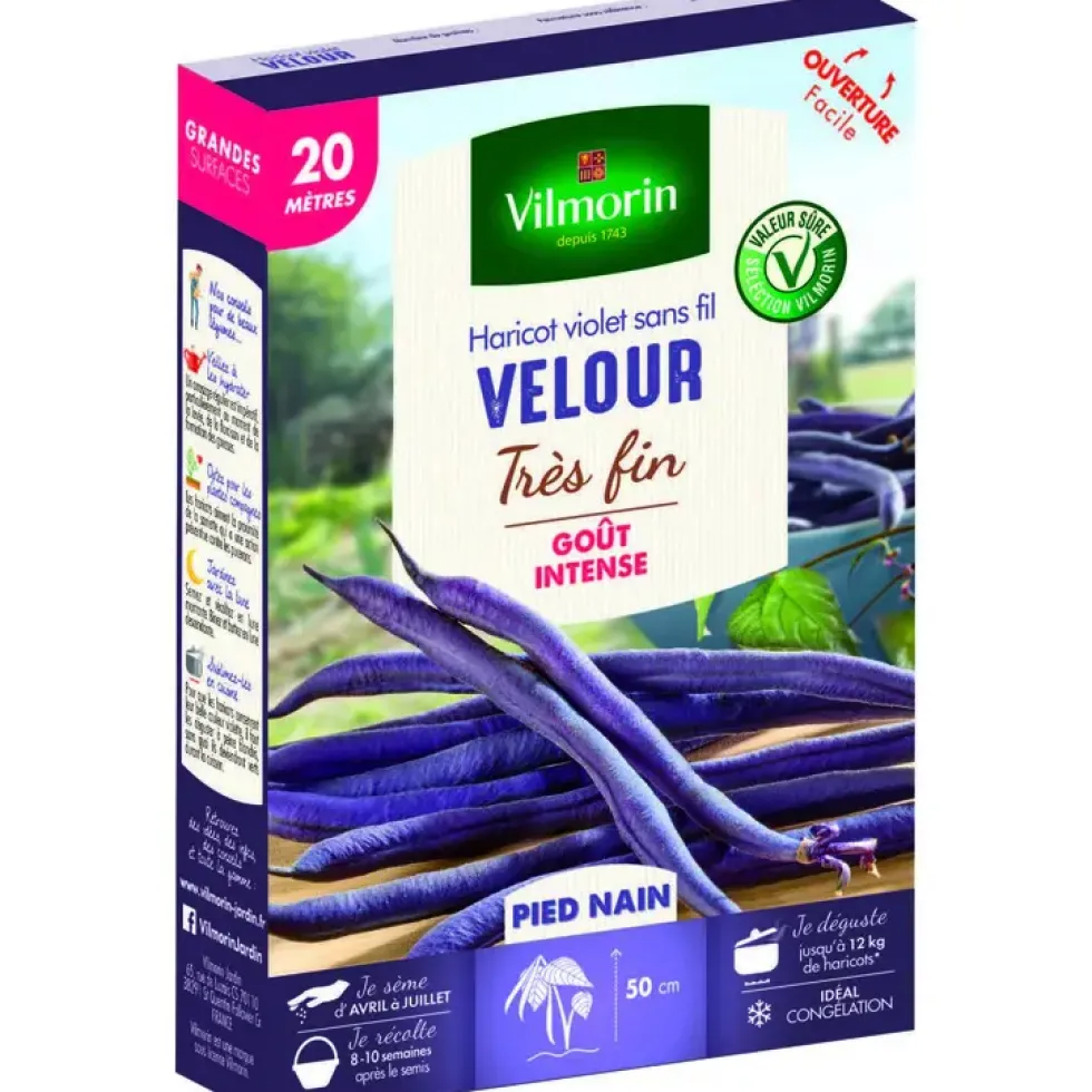 Graines à haricot nain velour Vilmorin - graines à semer