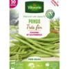Graines haricot vert nain Pongo coloris vert Vilmorin jardin - graines à semer