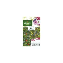 Graines mélange de fleurs oubliées 10 m² Vilmorin - graines à semer