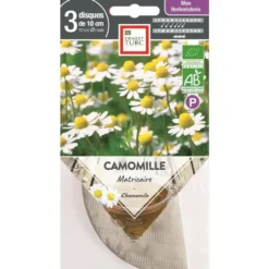 Graines présemées de Camomille matricaire bio Ernest Turc - 3 ronds de 10 cm