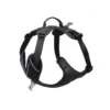 Harnais Momentum Taille 1 Circonférence cage thoracique 33-44cm Noir
