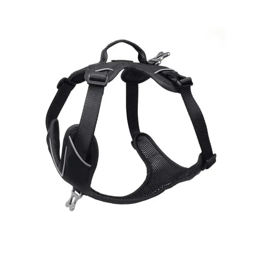 Harnais Momentum Taille 1 Circonférence cage thoracique 33-44cm Noir