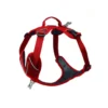 Harnais Momentum Taille 2 Circonférence cage thoracique 42-55cm Rouge