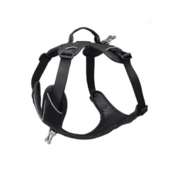 Harnais Momentum Taille 4 Circonférence cage thoracique 65-82cm Noir