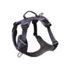 Harnais pour chien coloris bleu foncé Kyflie Momentum Urban - Taille 1