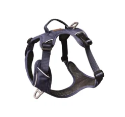 Harnais pour chien coloris bleu foncé Kyflie Momentum Urban - Taille 1