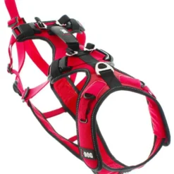 Harnais pour chien coloris rouge I-Dog Confort Trek - Taille XL