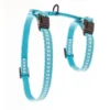 Harnais Safety bleu 35/50 x 1 cm