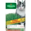 Herbe à chat