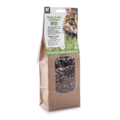 Herbe à chat bio à semer - barquette de 130 g