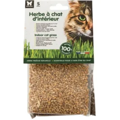 Herbe à chat d’intérieur Martin Sellier petit modèle - graines à semer