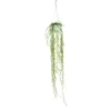 Hoya Linearis suspension Ø12xH80 cm