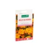 Œillet du potager botanic® - graines à semer (3 m²)
