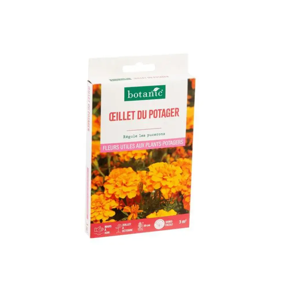 Œillet du potager botanic® - graines à semer (3 m²)