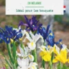 Iris hollandica en mélange botanic® - 25 bulbes