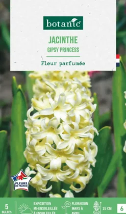 Jacinthe gipsy princess botanic® - 5 bulbes