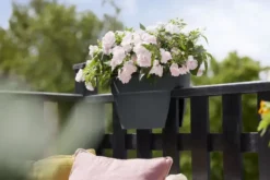 Jardinière flower bridge en plastique recyclé Elho Viba Campana - 22 x 26 x 39 cm Anthracite