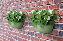 Jardinière murale en plastique recyclé coloris vert pistache Elho Vibia Campana - 14,8 x 16,2 cm
