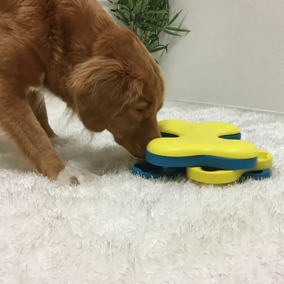 Jeu d'intelligence pour chien coloris multicolore Nina Ottoson Tornado niveau 2 - 4,5 x 18,8 x 7 cm