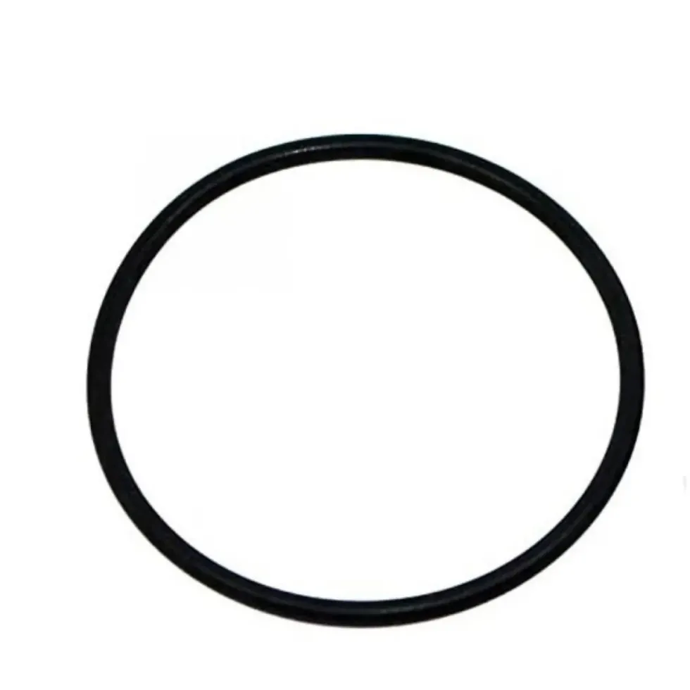 Joint de remplacement pour filtre professionnel, compatible Professionel3 - EHEIM PIÈCES DÉTACHÉES